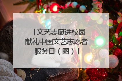 文艺志愿进校园 献礼中国文艺志愿者服务日（图）