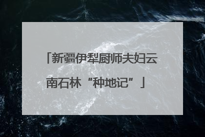 新疆伊犁厨师夫妇云南石林“种地记”