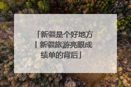 新疆是个好地方丨新疆旅游亮眼成绩单的背后