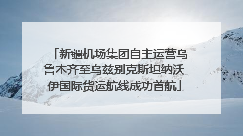 新疆机场集团自主运营乌鲁木齐至乌兹别克斯坦纳沃伊国际货运航线成功首航