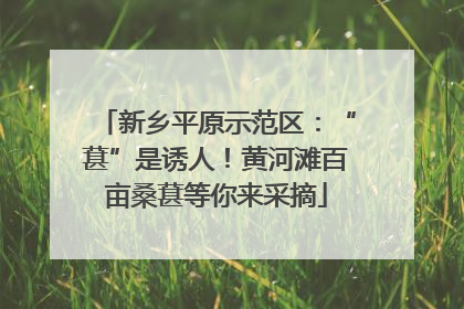 新乡平原示范区：“葚”是诱人！黄河滩百亩桑葚等你来采摘