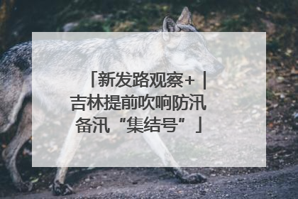 新发路观察+｜吉林提前吹响防汛备汛“集结号”