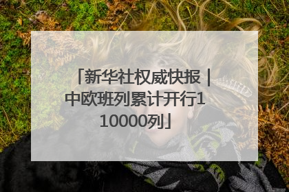 新华社权威快报｜中欧班列累计开行110000列