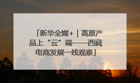 新华全媒+｜高原产品上“云”端——西藏电商发展一线观察