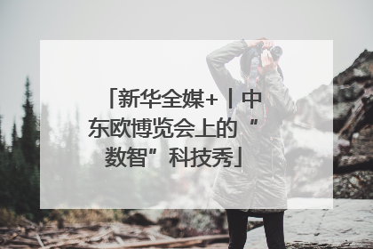 新华全媒+丨中东欧博览会上的“数智”科技秀