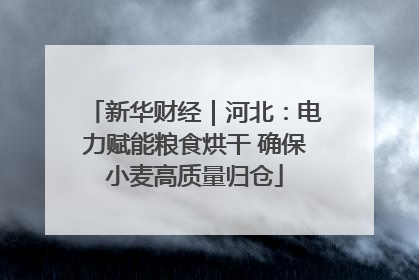 新华财经｜河北：电力赋能粮食烘干 确保小麦高质量归仓