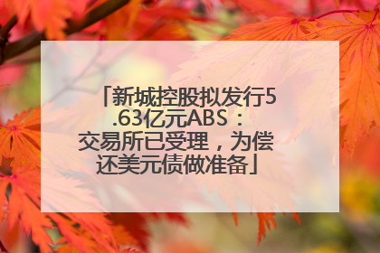 新城控股拟发行5.63亿元ABS：交易所已受理，为偿还美元债做准备