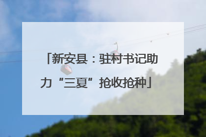 新安县：驻村书记助力“三夏”抢收抢种
