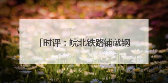 时评：皖北铁路铺就钢轨上的“振兴密码”