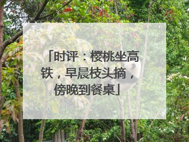 时评：樱桃坐高铁，早晨枝头摘，傍晚到餐桌