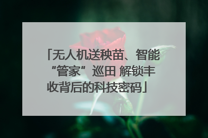 无人机送秧苗、智能“管家”巡田 解锁丰收背后的科技密码