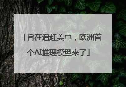 旨在追赶美中，欧洲首个AI推理模型来了