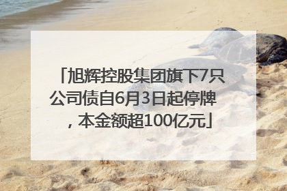 旭辉控股集团旗下7只公司债自6月3日起停牌，本金额超100亿元