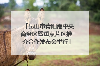 昆山市青阳港中央商务区暨重点片区推介合作发布会举行