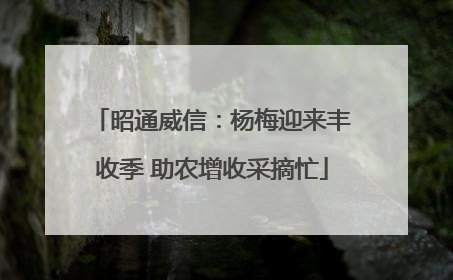 昭通威信：杨梅迎来丰收季 助农增收采摘忙