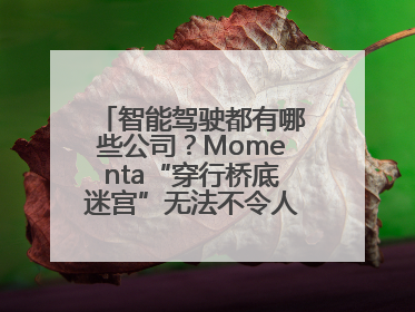 智能驾驶都有哪些公司？Momenta“穿行桥底迷宫”无法不令人印象深刻！