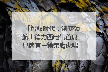 智驭时代，创变领航！德力西电气首席品牌官王策荣膺虎啸奖年度品牌人物