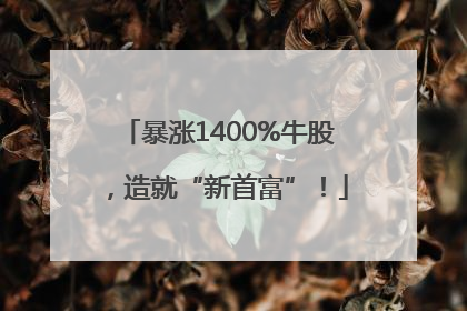 暴涨1400%牛股，造就“新首富”！