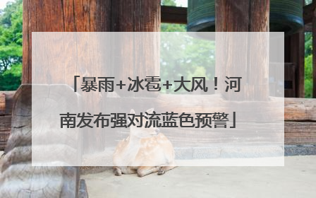 暴雨+冰雹+大风！河南发布强对流蓝色预警