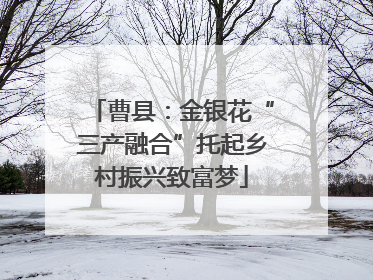 曹县：金银花“三产融合”托起乡村振兴致富梦