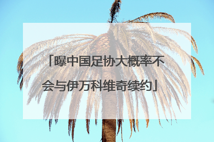 曝中国足协大概率不会与伊万科维奇续约