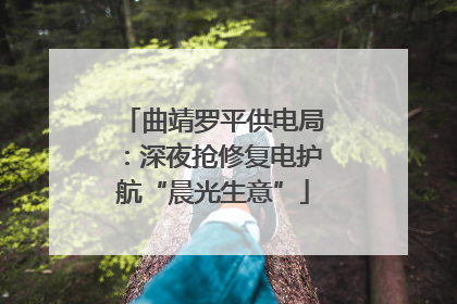 曲靖罗平供电局：深夜抢修复电护航“晨光生意”