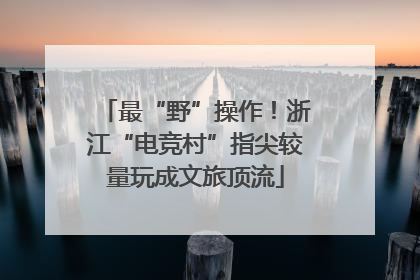 最“野”操作！浙江“电竞村”指尖较量玩成文旅顶流