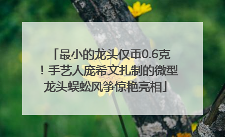 最小的龙头仅重0.6克！手艺人庞希文扎制的微型龙头蜈蚣风筝惊艳亮相