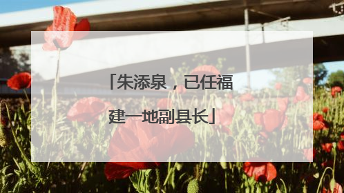 朱添泉，已任福建一地副县长