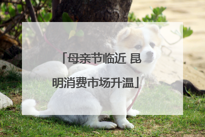 母亲节临近 昆明消费市场升温