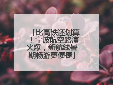 比高铁还划算！宁波航空路演火爆，新航线暑期畅游更便捷
