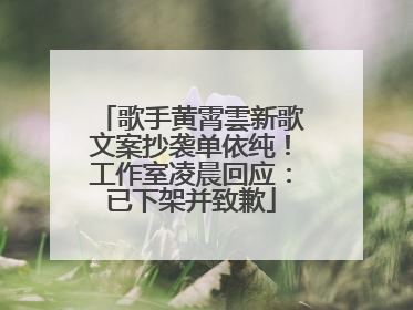 歌手黄霄雲新歌文案抄袭单依纯！工作室凌晨回应：已下架并致歉