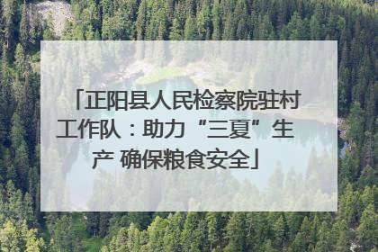 正阳县人民检察院驻村工作队:助力“三夏”生产 确保粮食安全