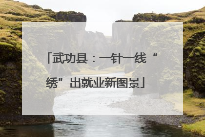 武功县：一针一线“绣”出就业新图景