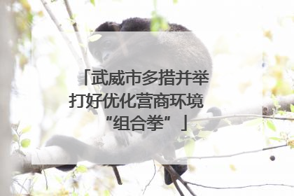 武威市多措并举打好优化营商环境“组合拳”