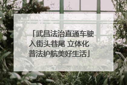 武昌法治直通车驶入街头巷尾 立体化普法护航美好生活