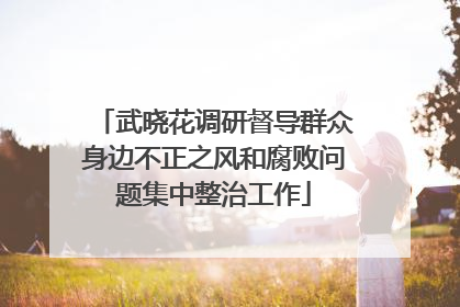 武晓花调研督导群众身边不正之风和腐败问题集中整治工作