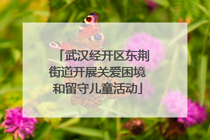 武汉经开区东荆街道开展关爱困境和留守儿童活动