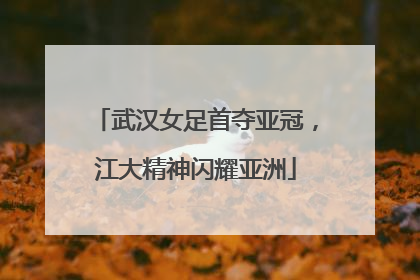 武汉女足首夺亚冠，江大精神闪耀亚洲