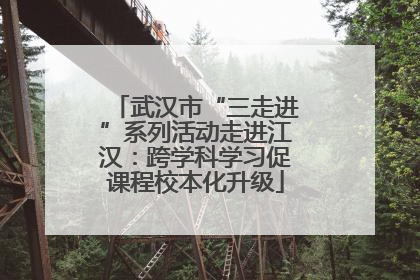 武汉市“三走进”系列活动走进江汉：跨学科学习促课程校本化升级