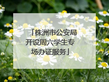 株洲市公安局开设周六学生专场办证服务