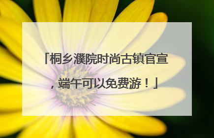 桐乡濮院时尚古镇官宣，端午可以免费游！