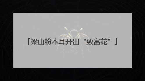 梁山粉木耳开出“致富花”
