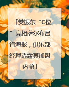 樊振东“C位”亮相萨尔布吕肯海报，俱乐部经理透露其加盟内幕