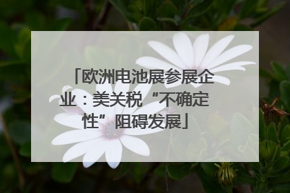 欧洲电池展参展企业：美关税“不确定性”阻碍发展