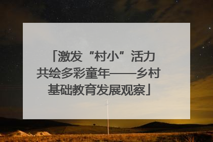 激发“村小”活力 共绘多彩童年——乡村基础教育发展观察