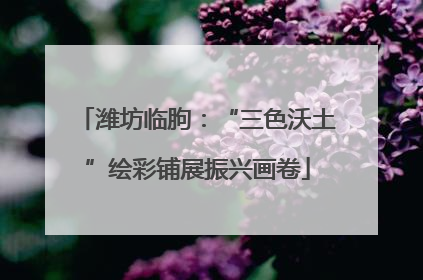 潍坊临朐：“三色沃土”绘彩铺展振兴画卷