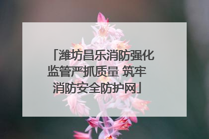 潍坊昌乐消防强化监管严抓质量 筑牢消防安全防护网