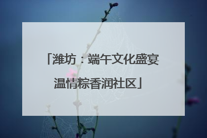 潍坊：端午文化盛宴 温情粽香润社区
