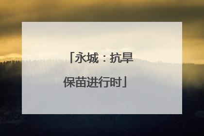 永城：抗旱保苗进行时